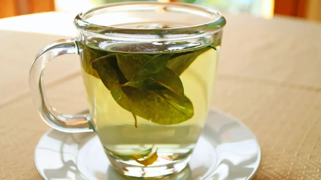 Mate de Coca