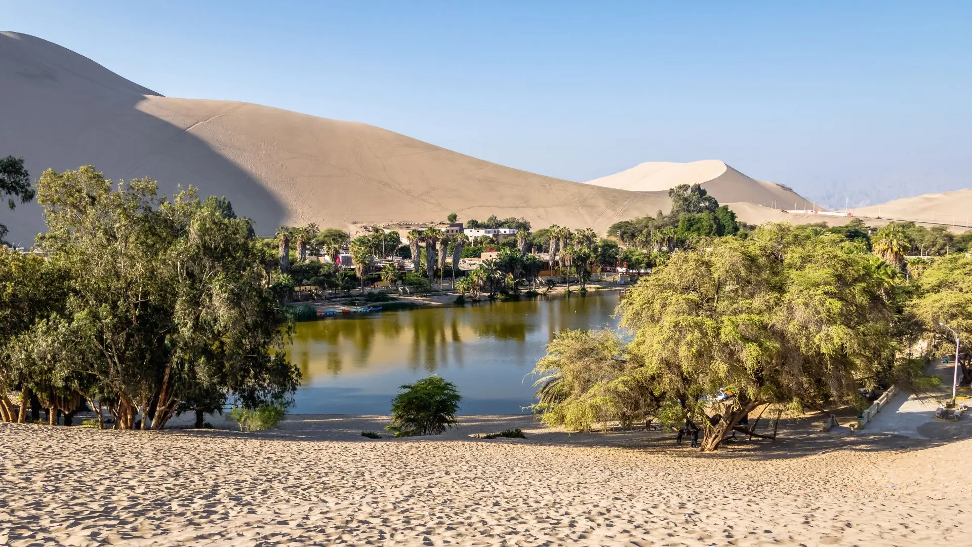 Huacachina: Guía de Buggies y Sandboarding en el Oasis