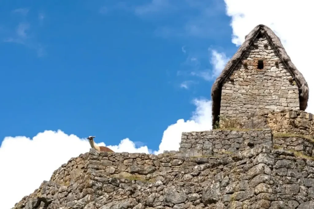 Machu Picchu - Casa del Guardián
