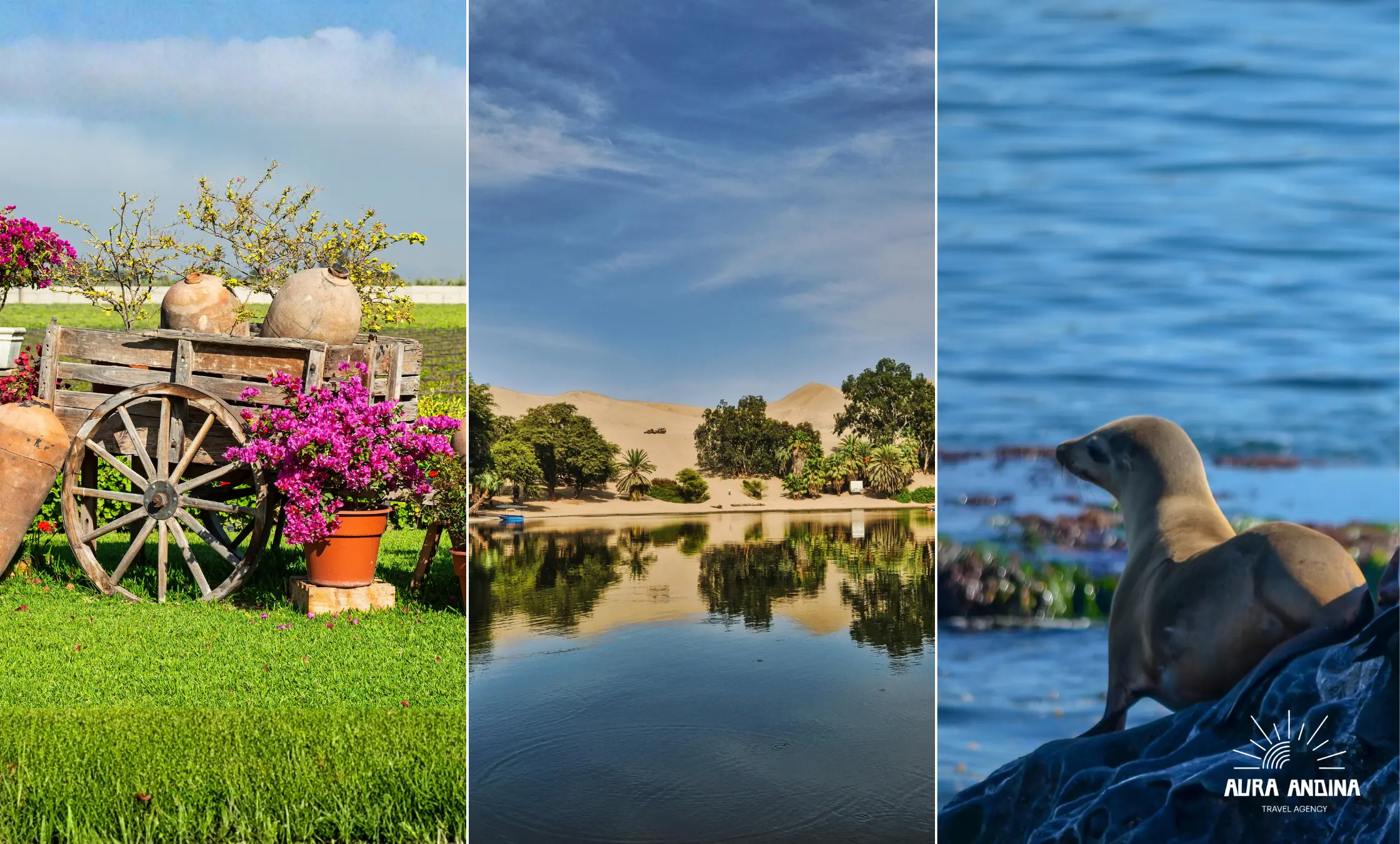 Natural landscapes and attractions in Ica and coastal Peru