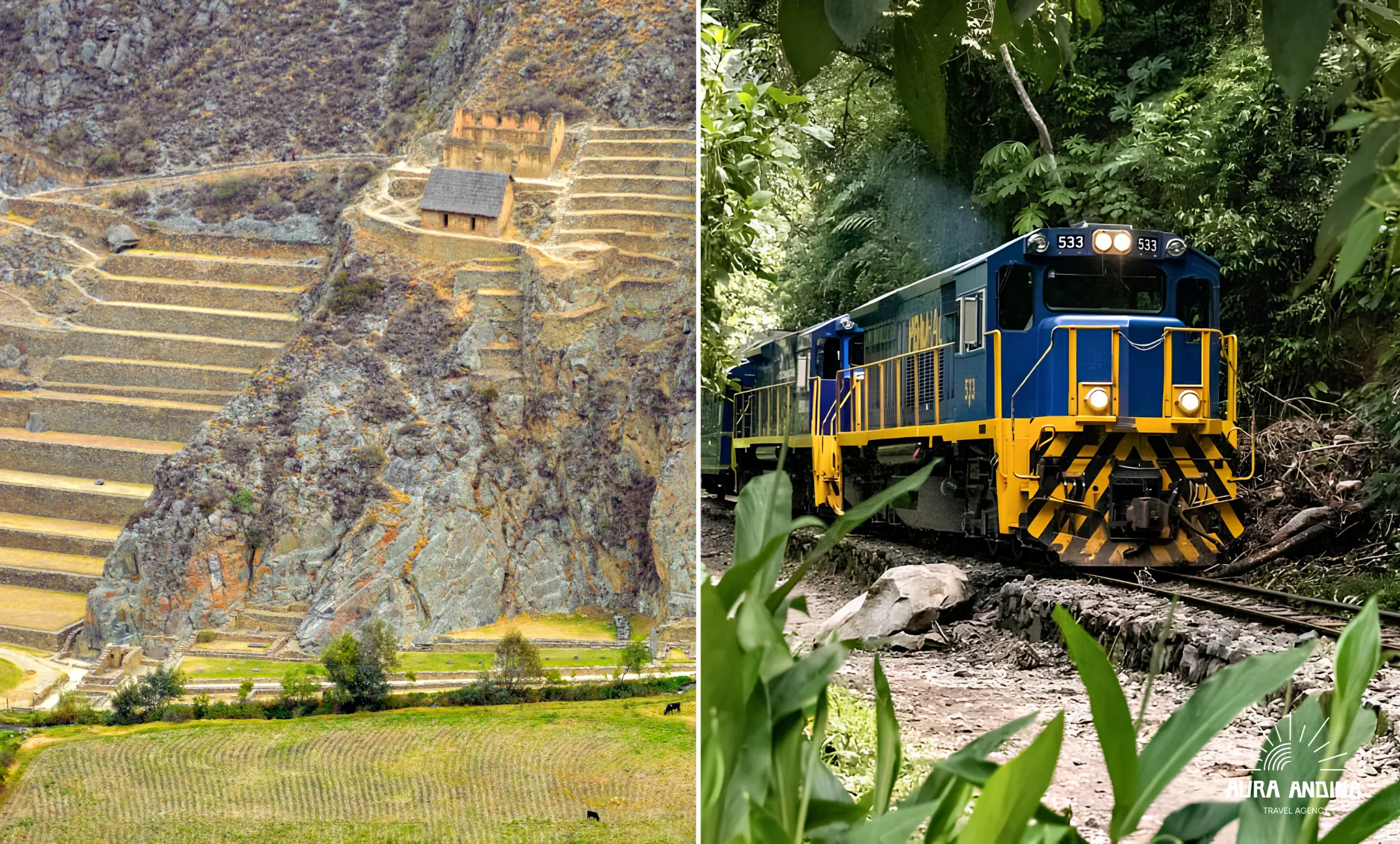 Train to Machu Picchu traveling through the Sacred Valley