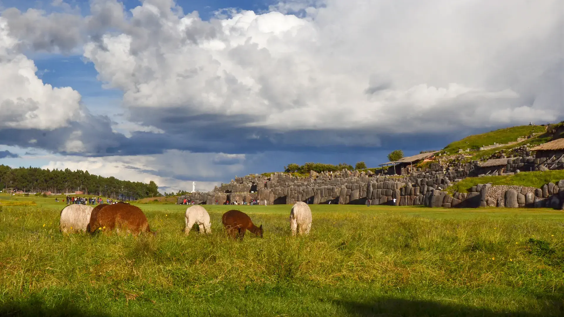 Sacsayhuaman