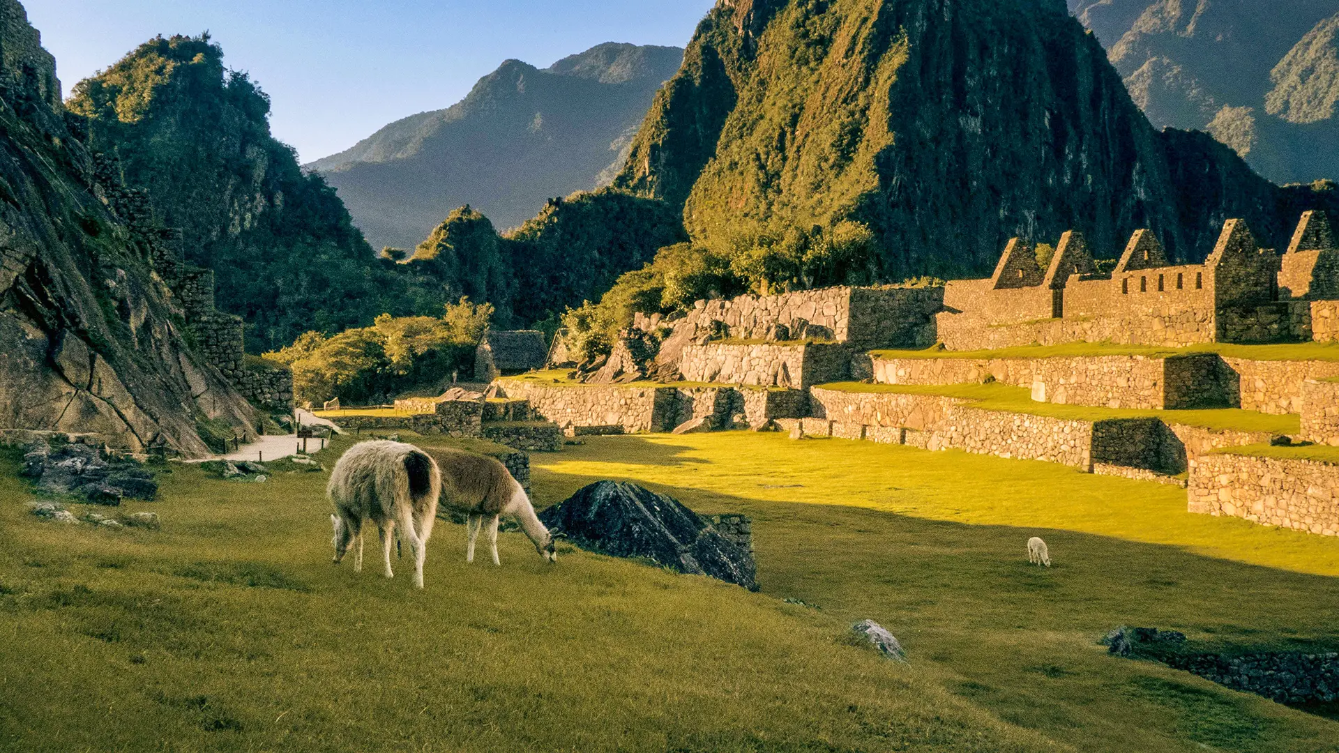 Machu Picchu