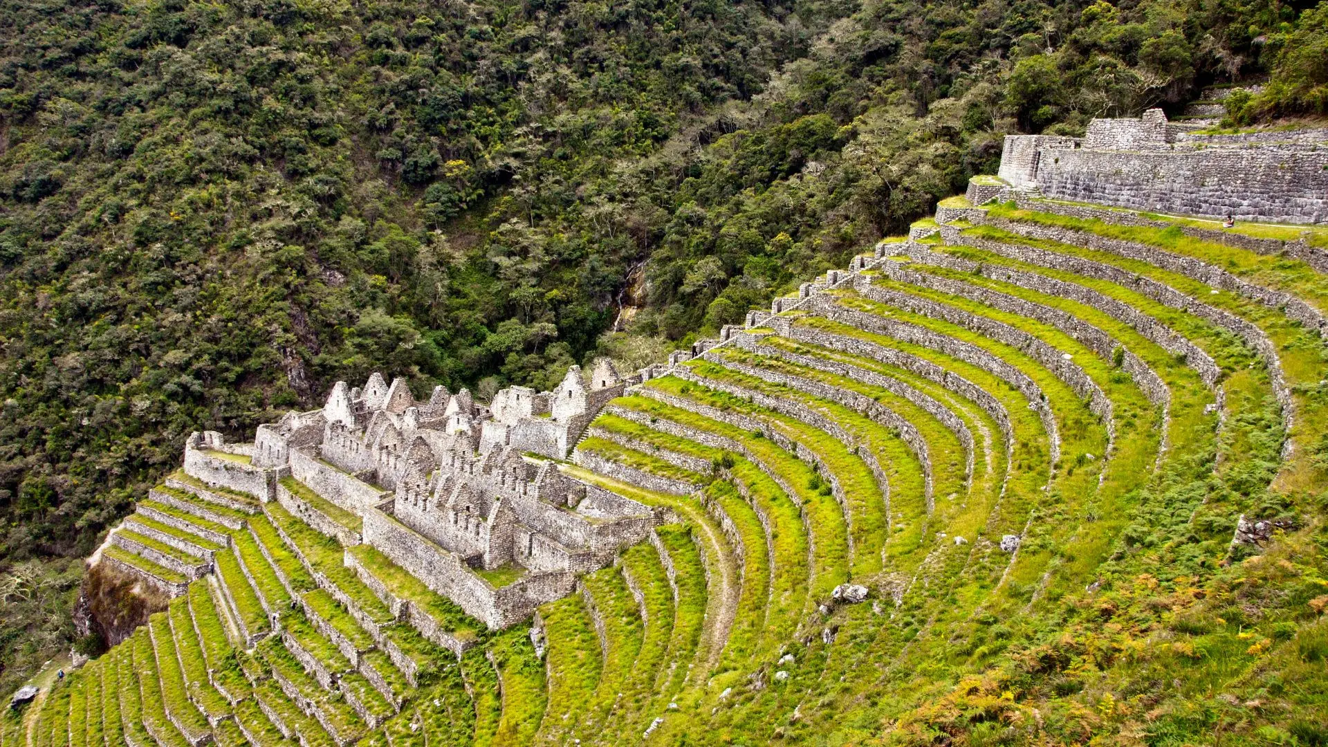 Wiñay Wayna